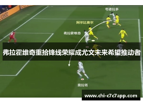 弗拉霍维奇重拾锋线荣耀成尤文未来希望推动者 弗拉霍维奇重拾锋线荣耀成尤文未来希望推动者