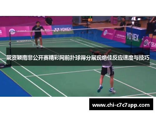 戴资颖南非公开赛精彩网前扑球得分展现绝佳反应速度与技巧
